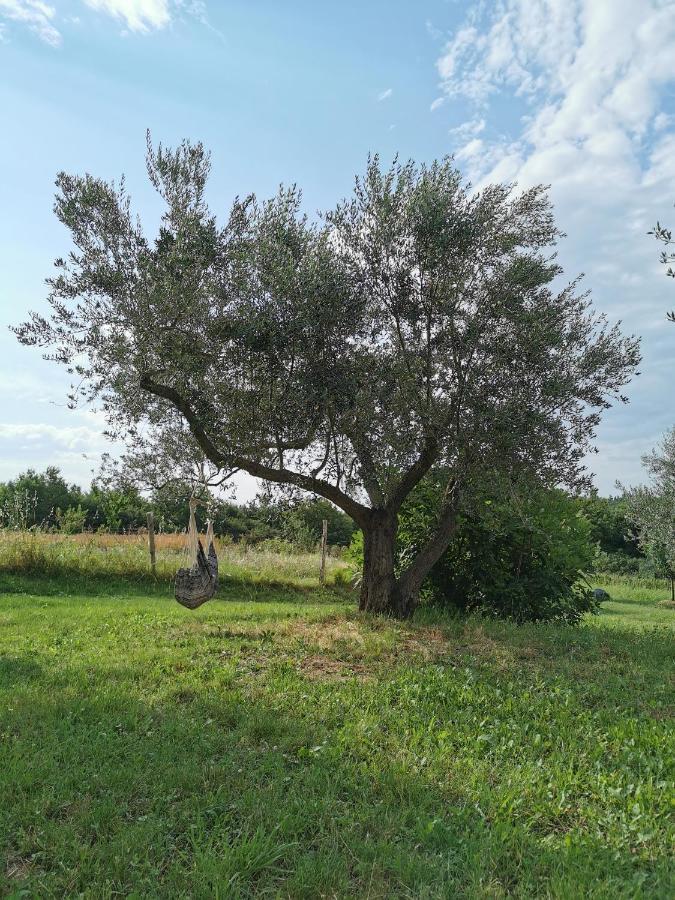 Casa Tijola *